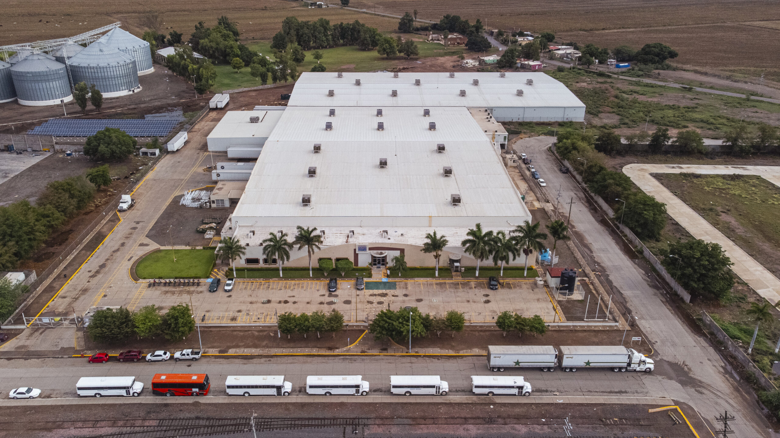 Sumitomo Guasave